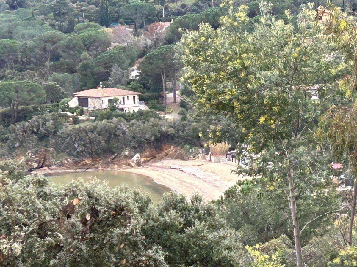 Suosogno Sul Mare 200Metri Dalla Spiaggia Capoliveri  Buitenkant foto